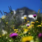 Guest house Tina Neustift im Stubaital