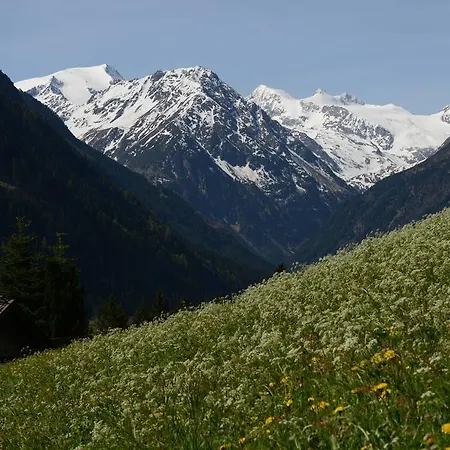 Tina Гостевой дом