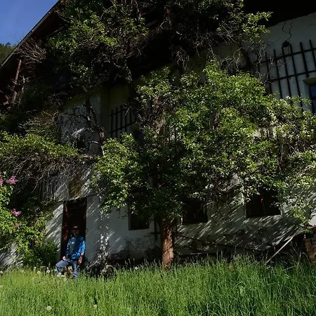 Tina Гостевой дом 3*