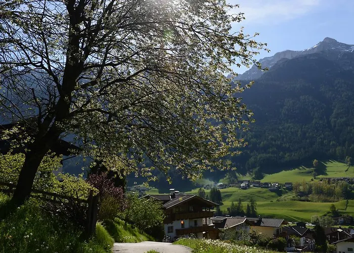 Maison d'hôtes Tina Neustift im Stubaital