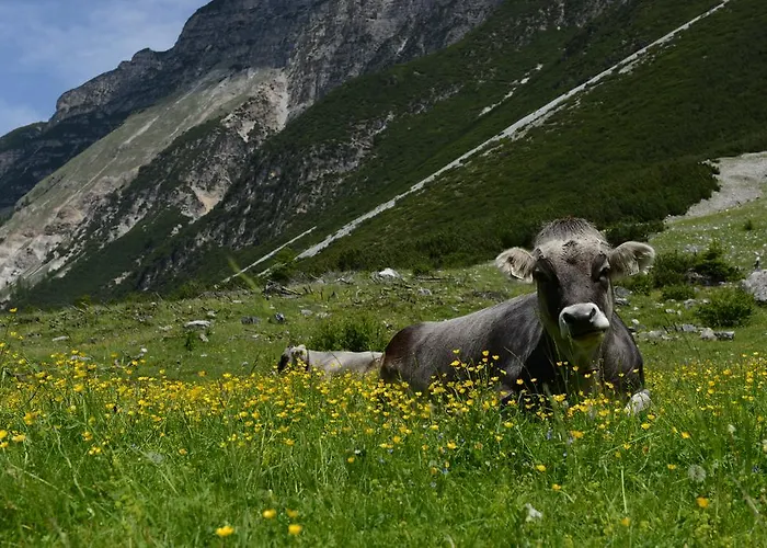 Tina Maison d'hôtes 3*