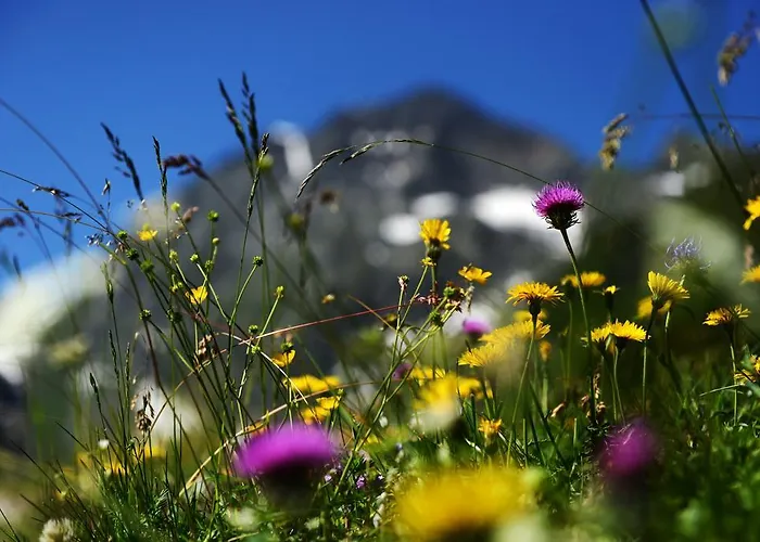 Gæstehus Tina Neustift im Stubaital